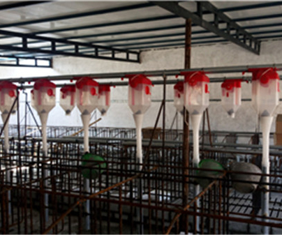 深圳养猪自动化料线