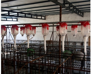 深圳养猪自动化料线